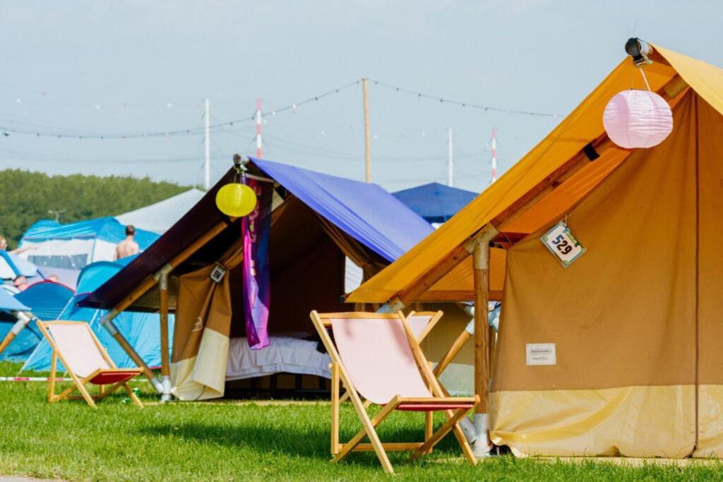 100 Jaar Tt Circuit Assen 2025 Glamping Incl Stroom Exteriör bild